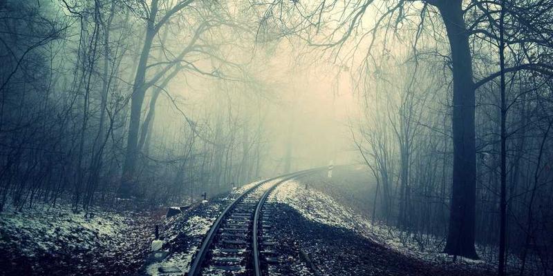 从放松按摩到身体护理：揭秘水疗中的营养美学与科学排毒方案