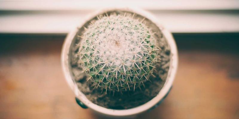 从肌肤到身心：高端水疗中营养学整合的艺术——定制化排毒饮品与疗后膳食搭配全指南