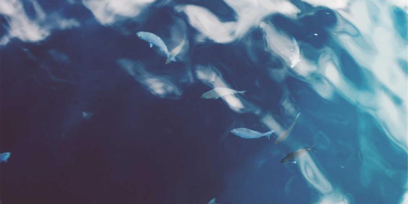 拉苏礼宾:以身体护理重塑放松哲学,定义高端水疗新维度