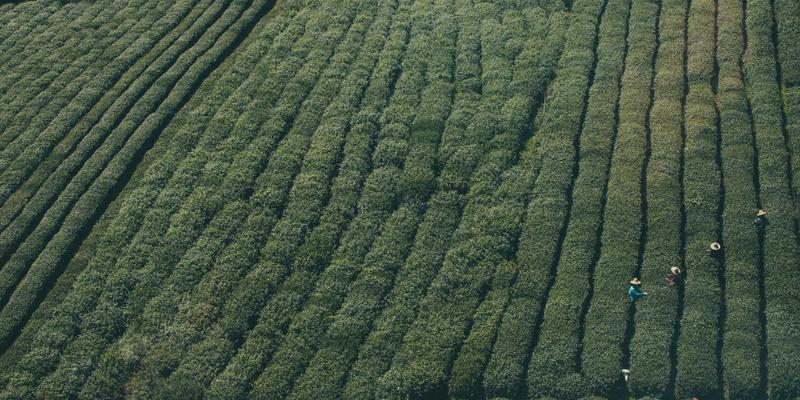 拉苏礼宾揭秘：高端水疗中的水质奥秘，活氧泡泡浴、富氢水疗与矿物温泉如何重塑身体护理体验