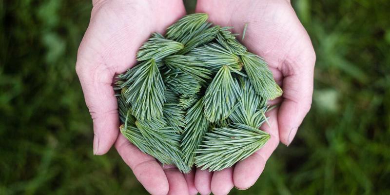 拉苏礼宾：重新定义高端水疗体验，探索按摩与面部护理的艺术之境