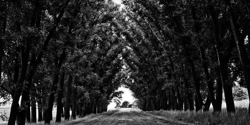 焕活身心防御力：探索高端水疗中的冷热交替身体护理与健康管理