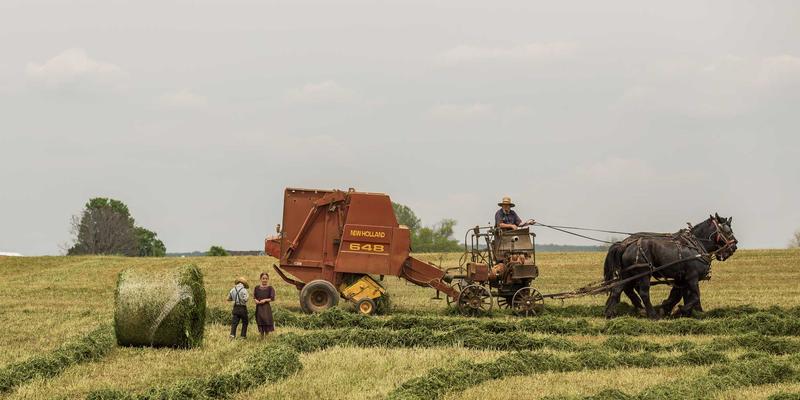 都市疗愈新高度：解锁高端水疗中的按摩、面部护理与养生哲学