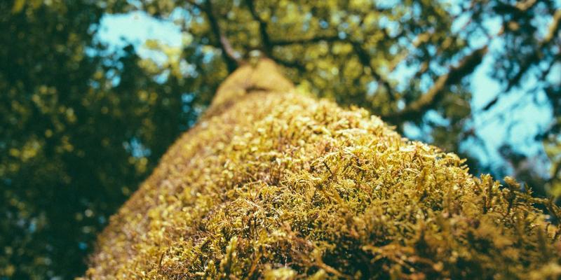 重塑肌肤与心灵：揭秘私人定制高端水疗体验的全流程设计