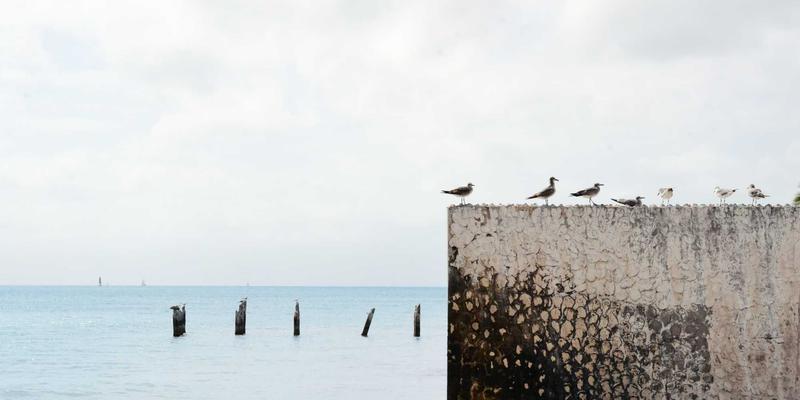 高端水疗12：极致放松与面部护理的完美体验