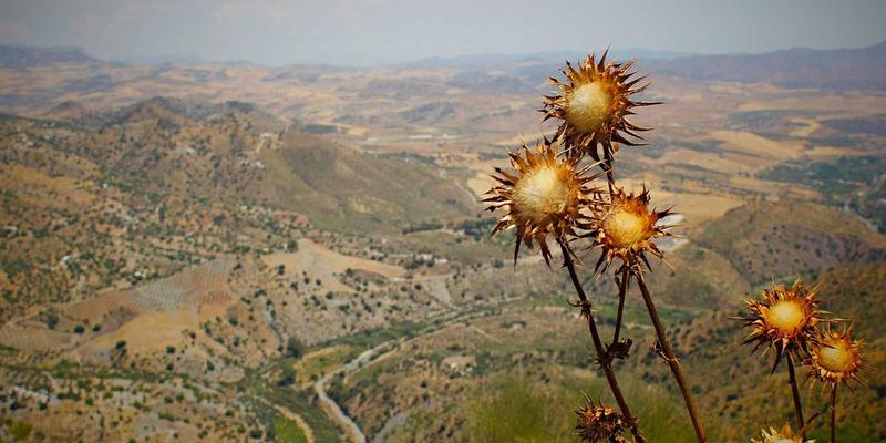 高端水疗57:以面部护理为钥,开启现代养生新境界