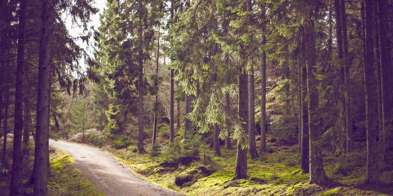 高端水疗69：以现代健康管理理念，重塑身心平衡的养生艺术