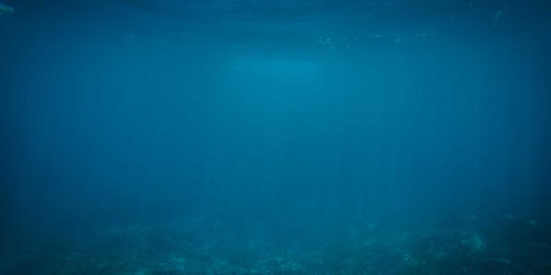 高端水疗艺术：从专业按摩到身心平衡的养生之旅